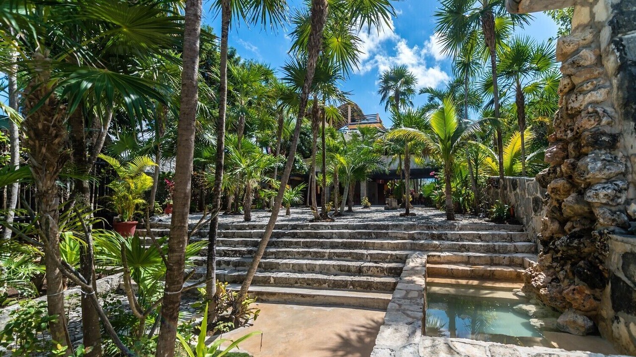 Photo of Outdoor in Akumal