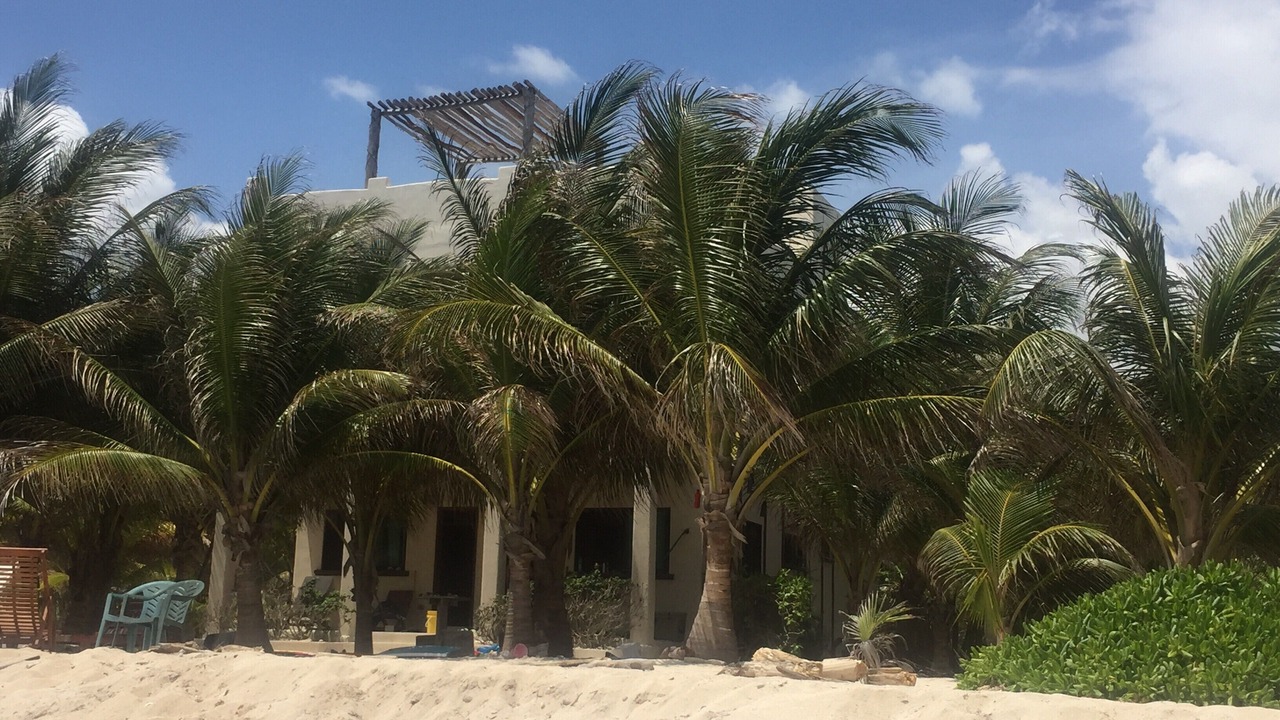 Photo of Outdoor in Majahual