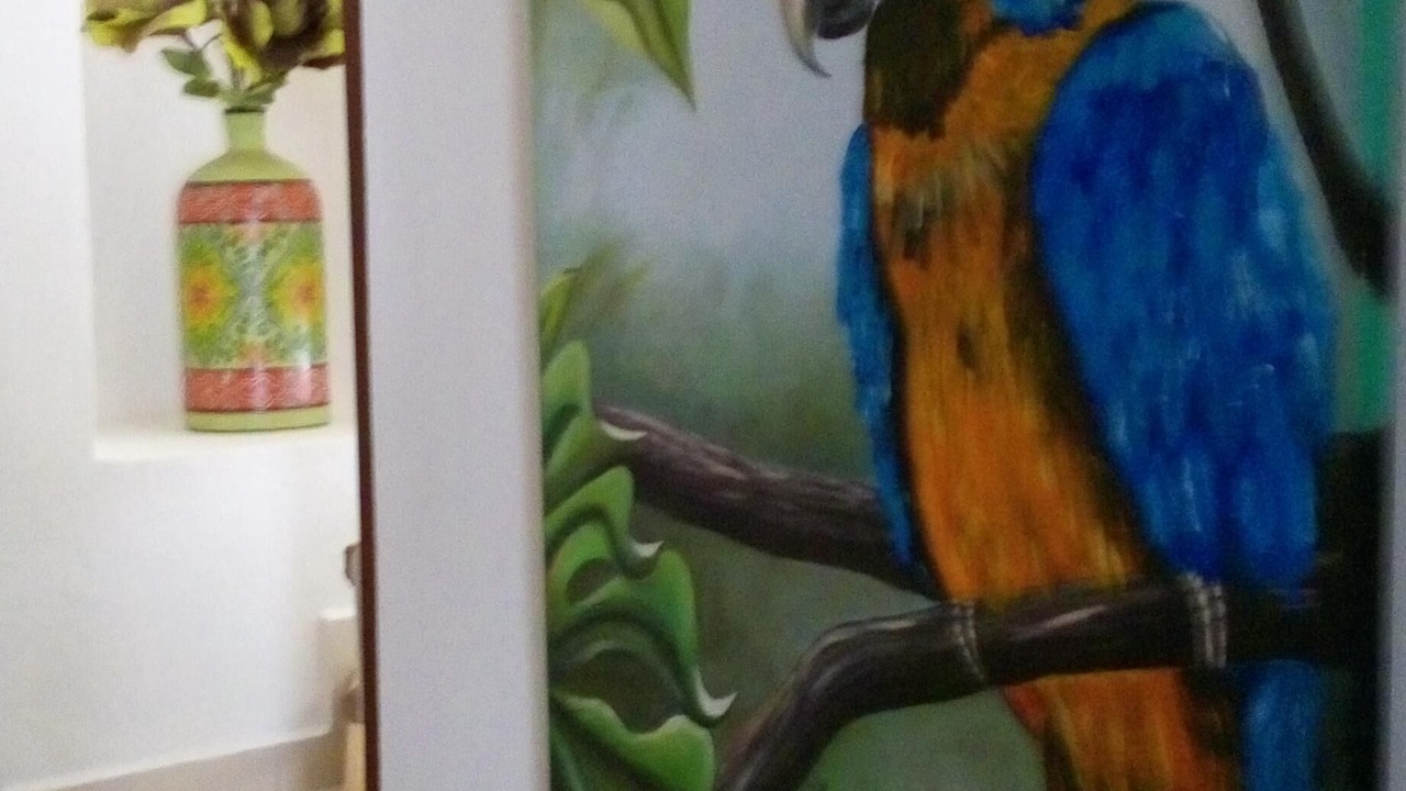 Photo of Others in Playacar