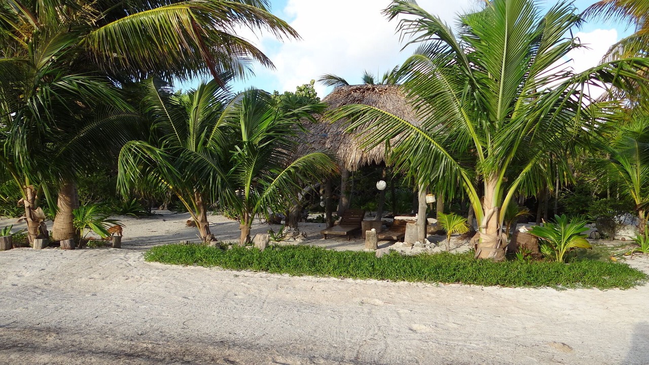 Photo of Others in Mahahual