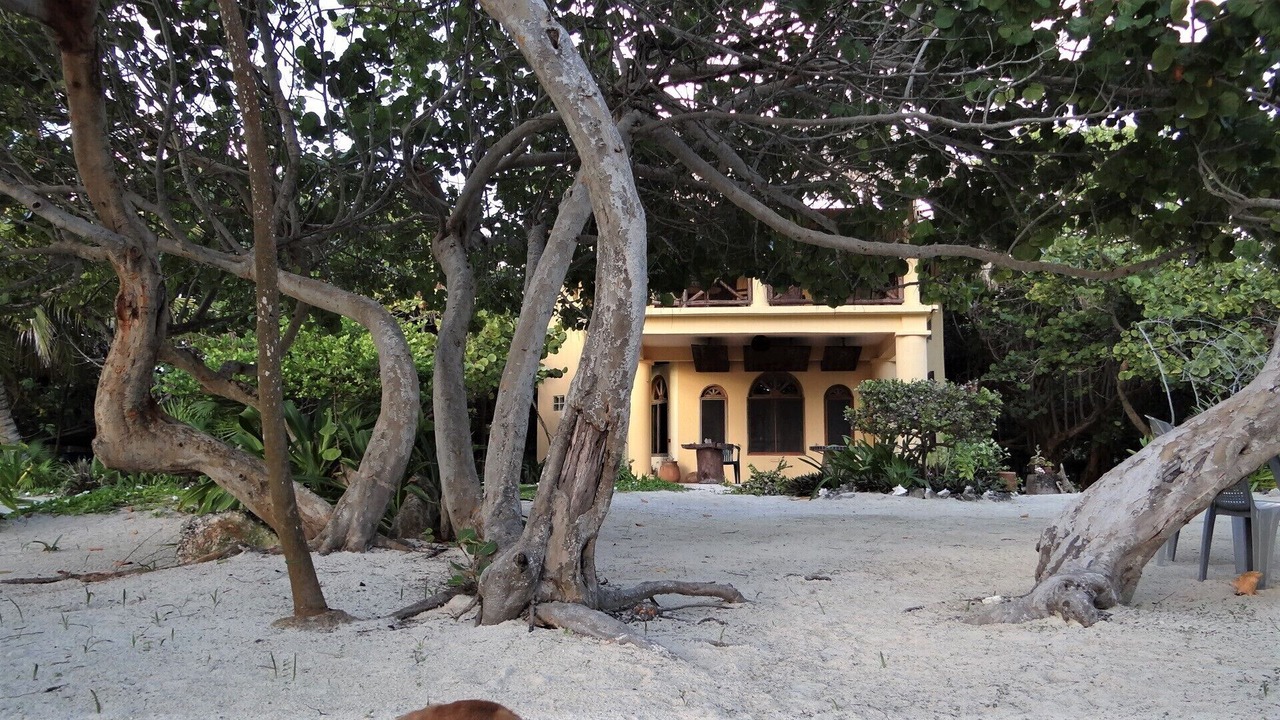 Photo of Outdoor in Mahahual