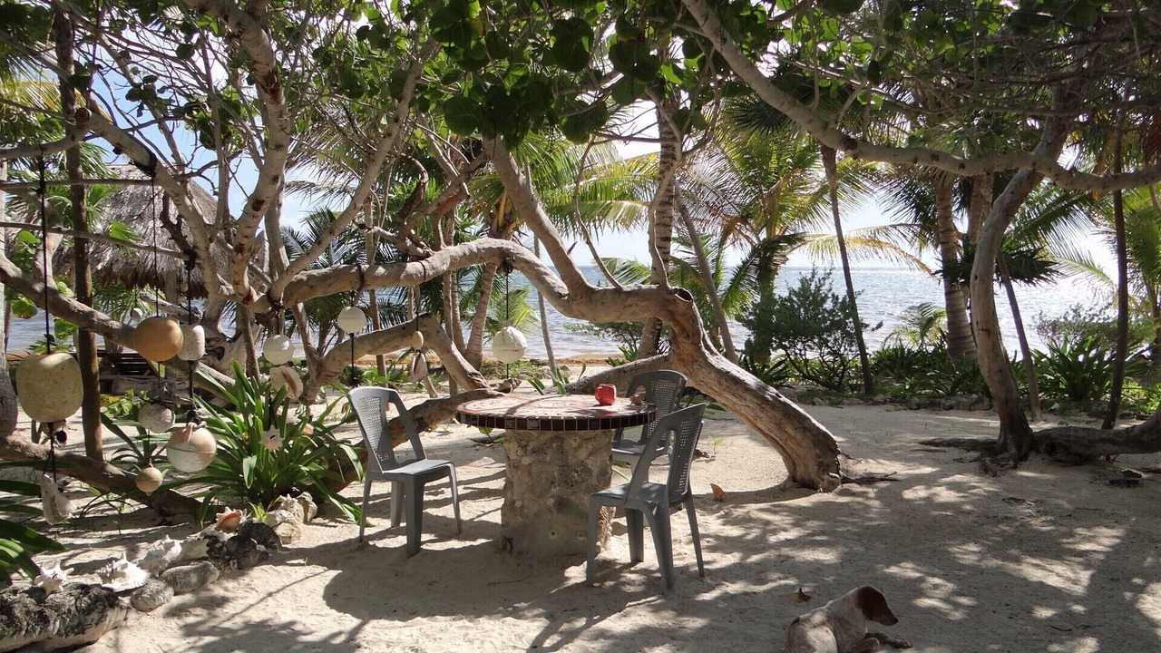 Photo of Others in Mahahual