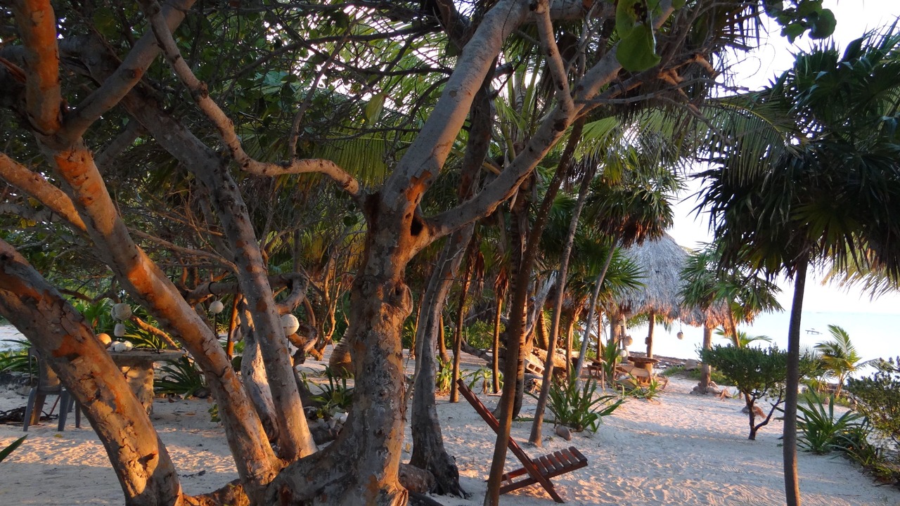 Photo of Others in Mahahual