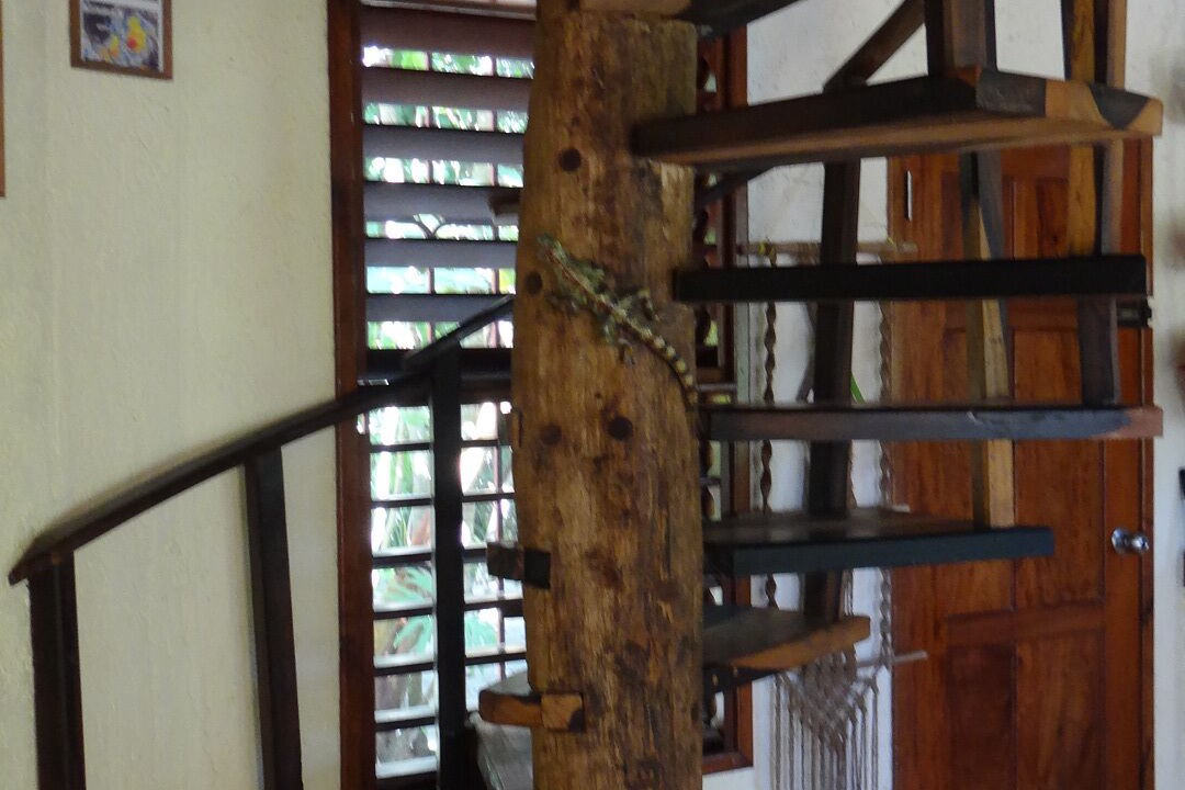 Photo of Others in Mahahual