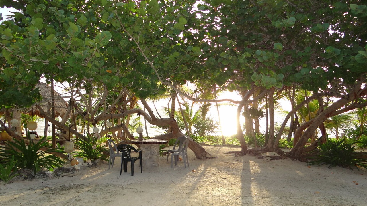 Photo of Others in Mahahual