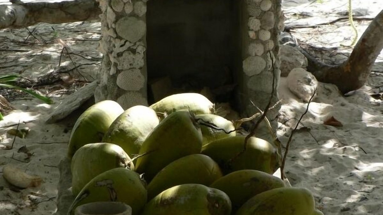 Photo of Others in Mahahual