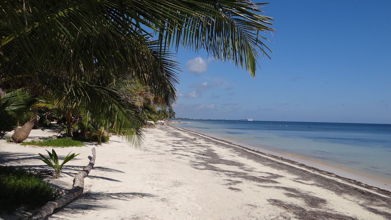 Photo of Others in Mahahual