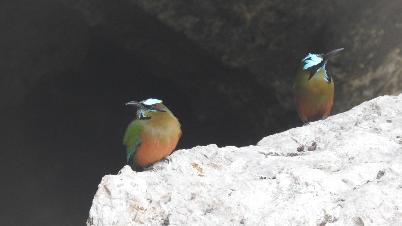 Photo of Others in Akumal