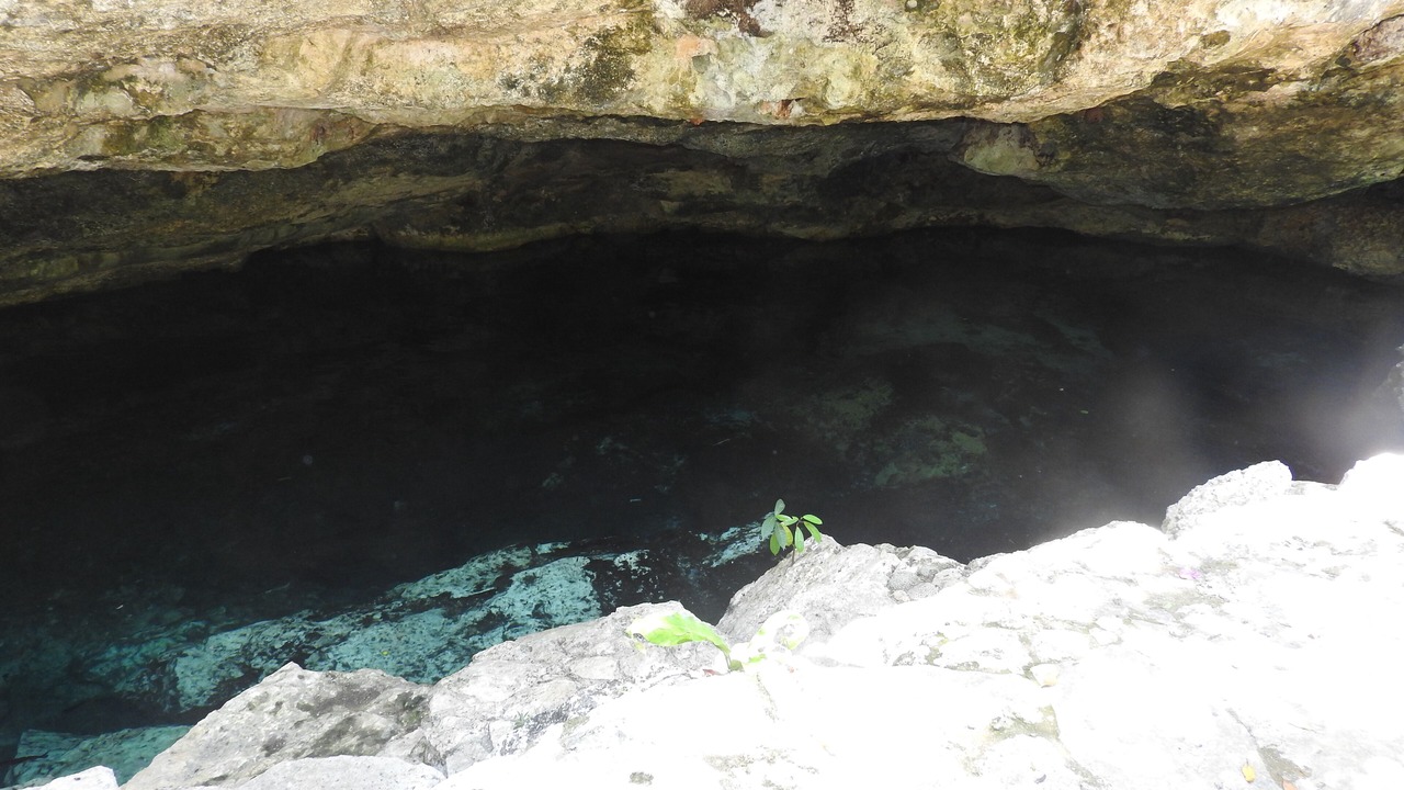 Photo of Others in Akumal