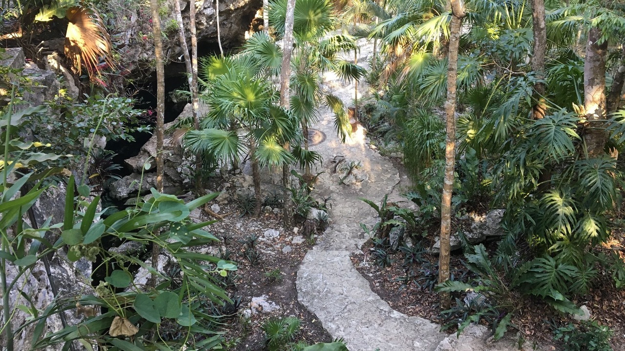 Photo of Outdoor in Akumal