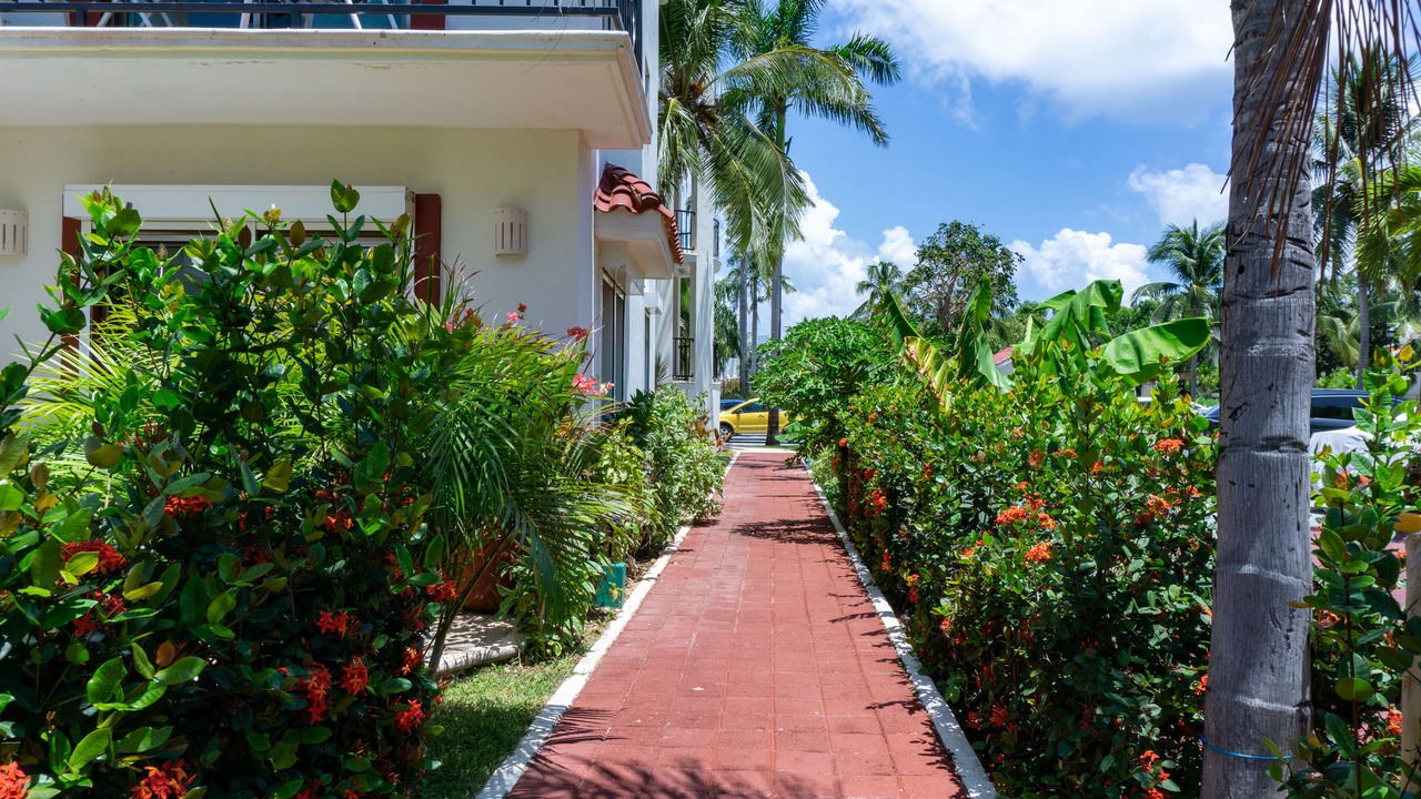 Photo of Outdoor in Playacar