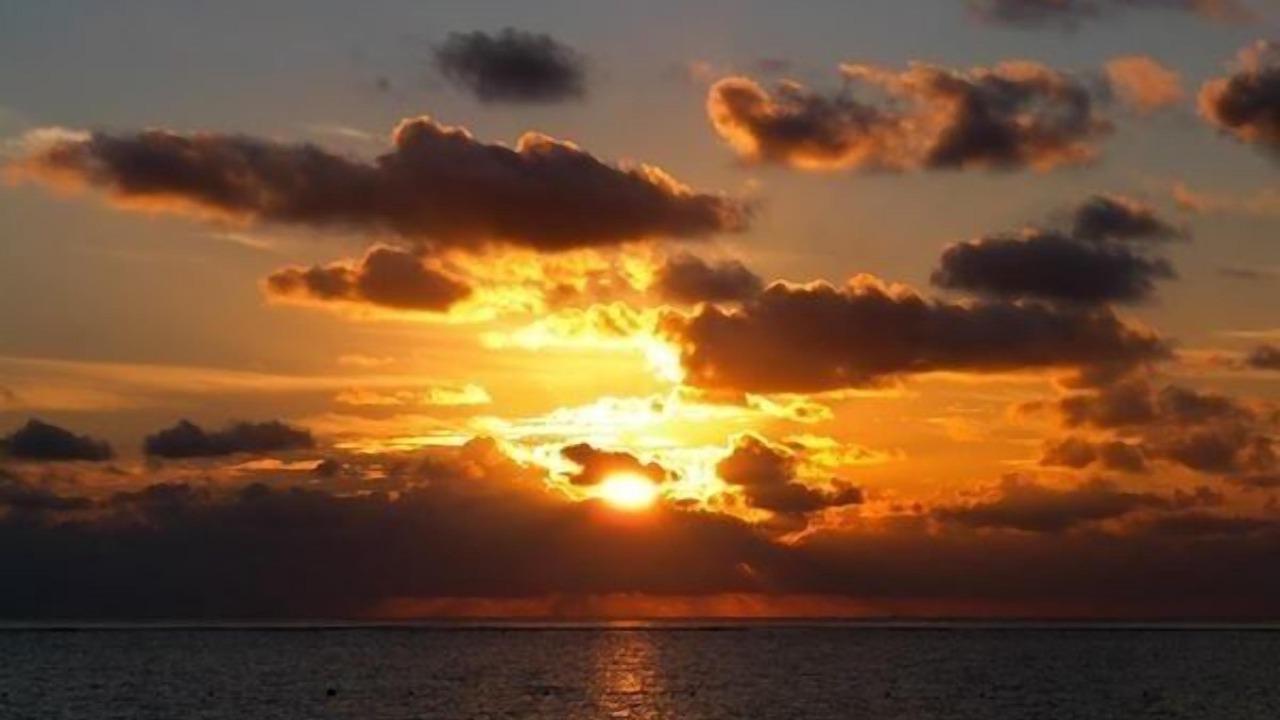 Photo of Others in Puerto Morelos