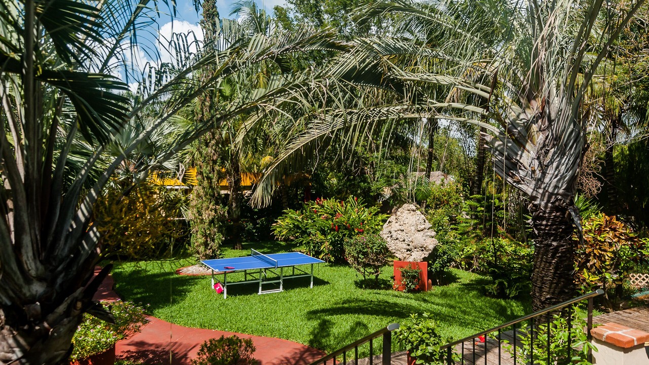 Photo of Outdoor in Alfredo V. Bonfil