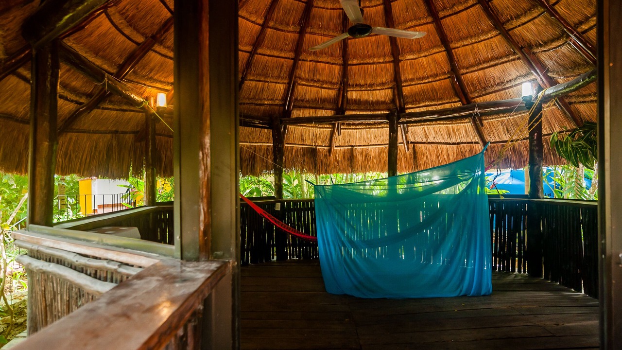 Photo of Patio Balcony in Alfredo V. Bonfil