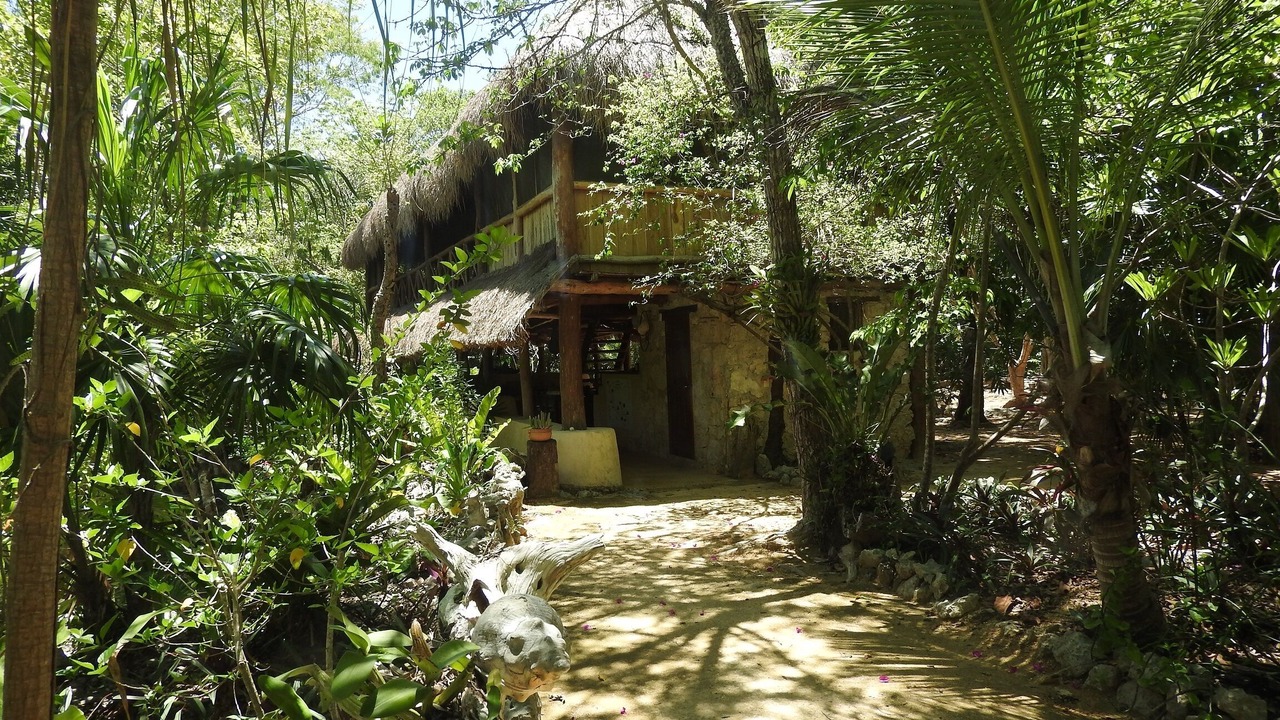 Photo of Outdoor in Akumal