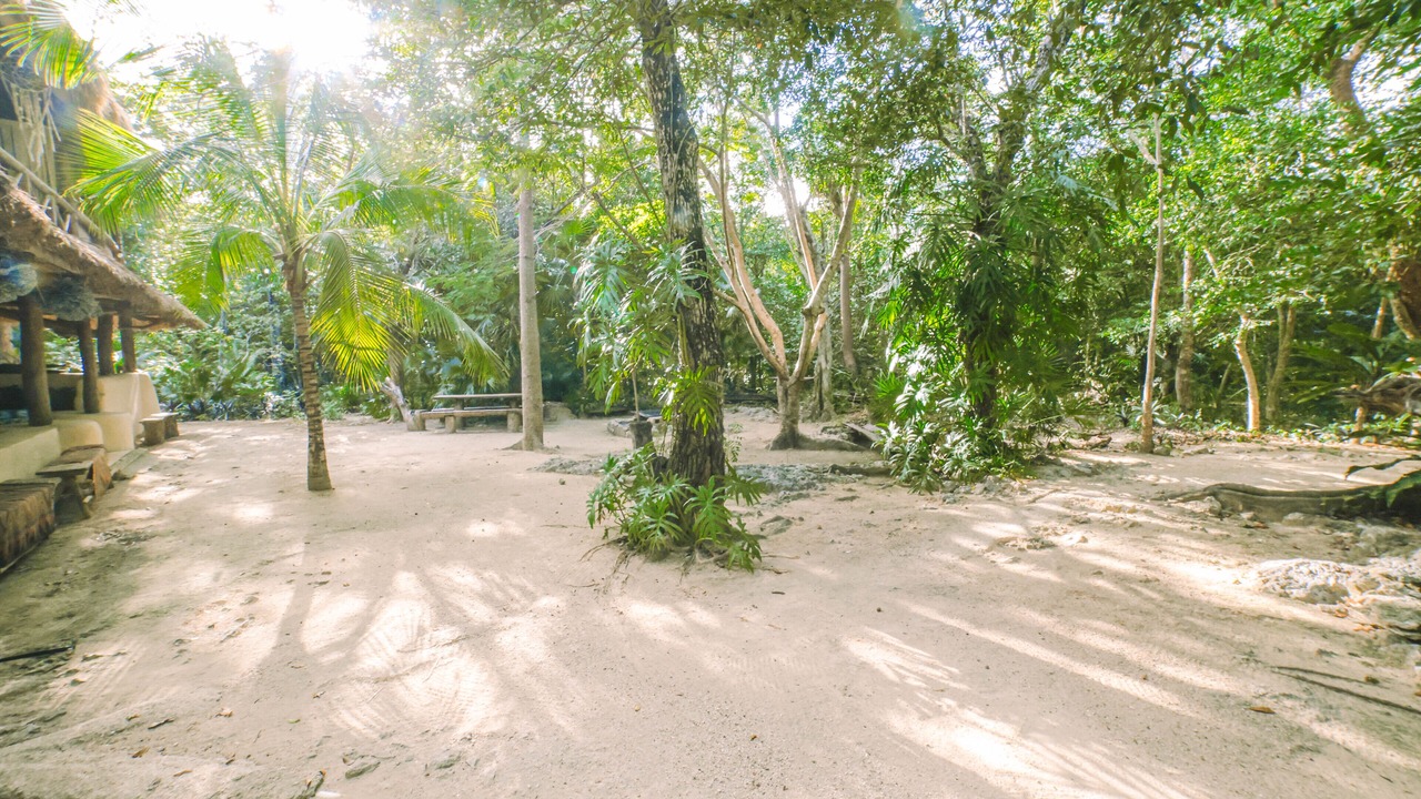 Photo of Outdoor in Akumal