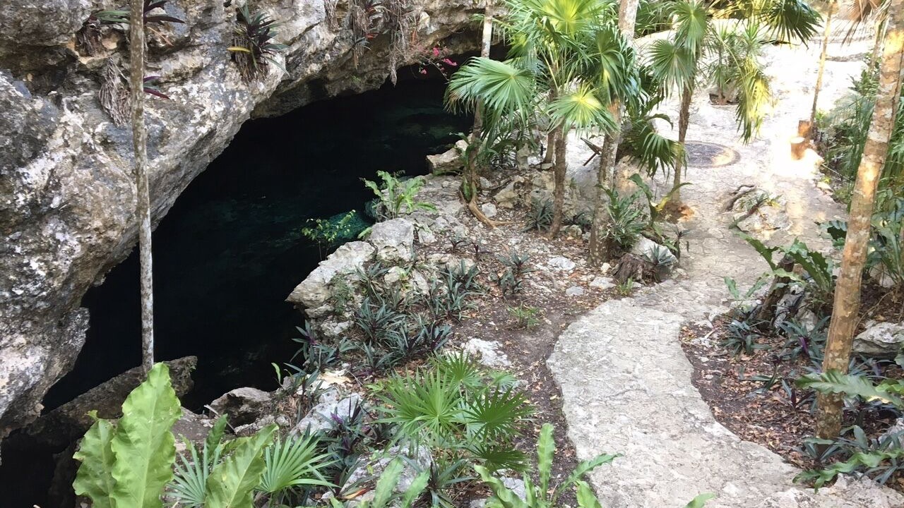 Photo of Outdoor in Akumal