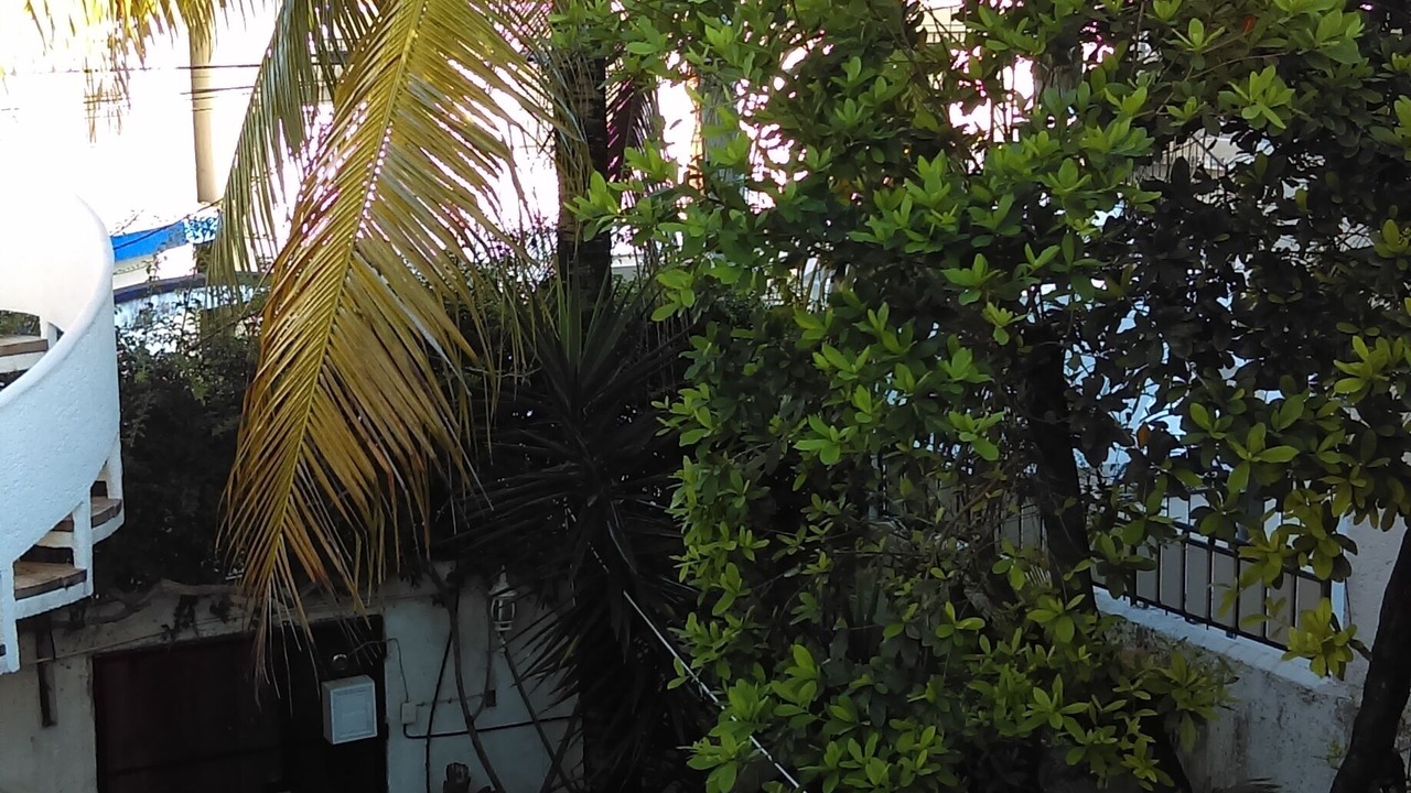 Photo of Outdoor in Colonia Independencia