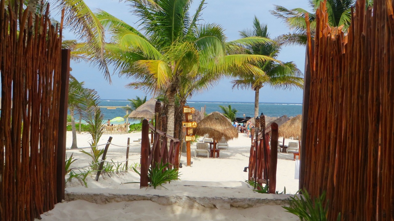 Photo of Others in Puerto Morelos