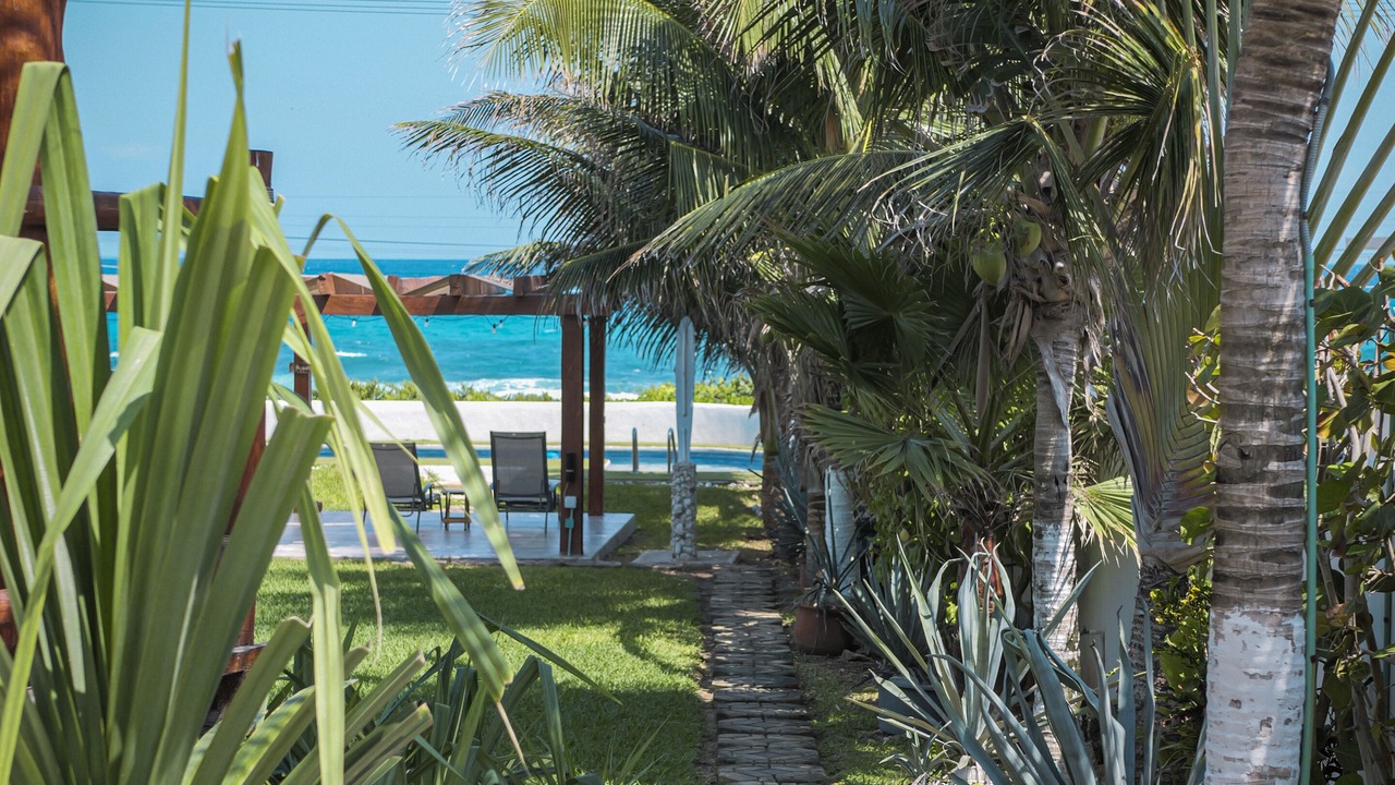 Photo of Outdoor in Colonia Meteorologico