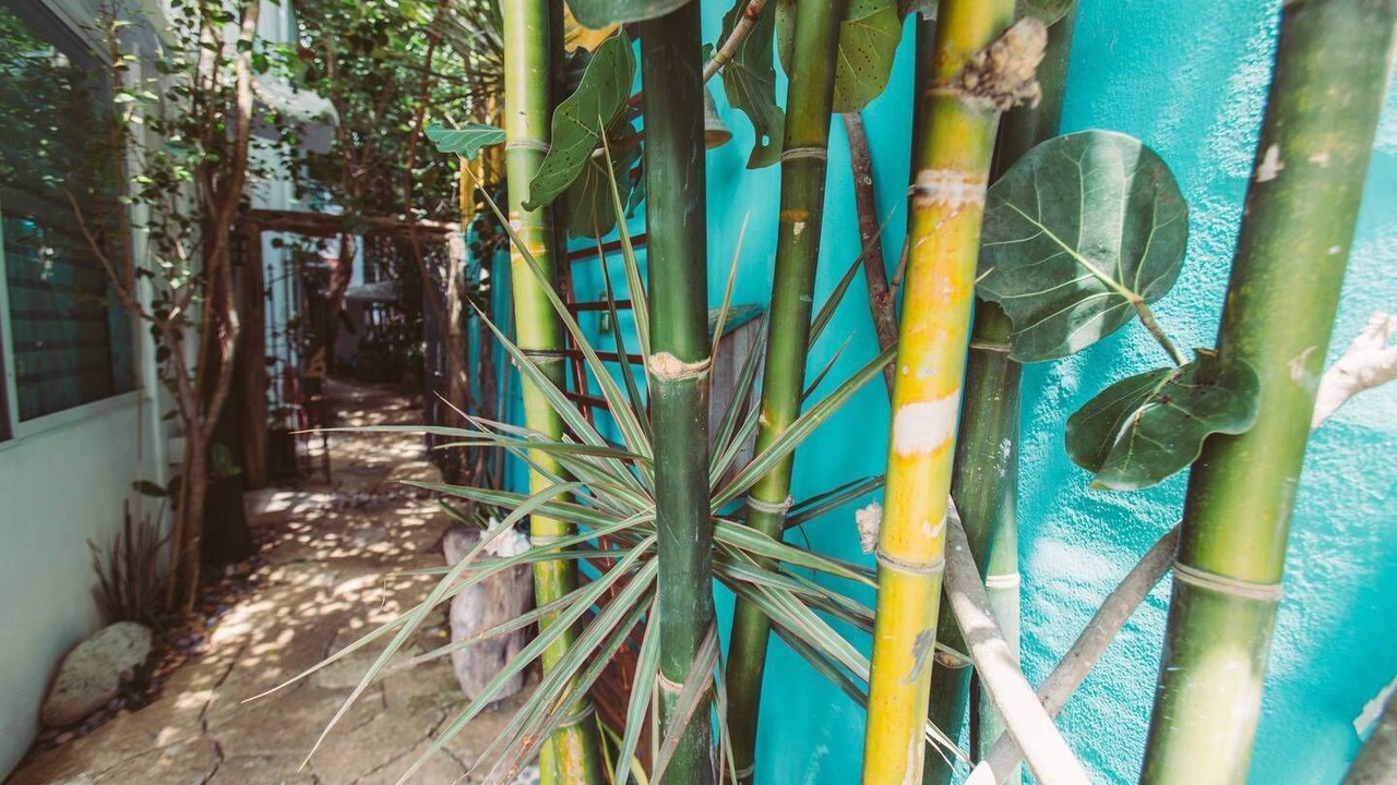 Photo of Outdoor in Tulum City Center