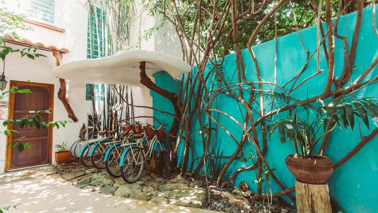 Photo of Outdoor in Tulum City Center