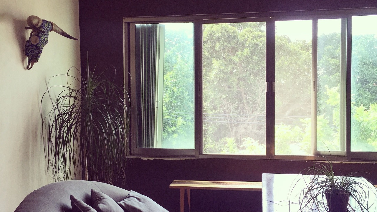 Photo of Livingroom in Gonzalo Guerrero