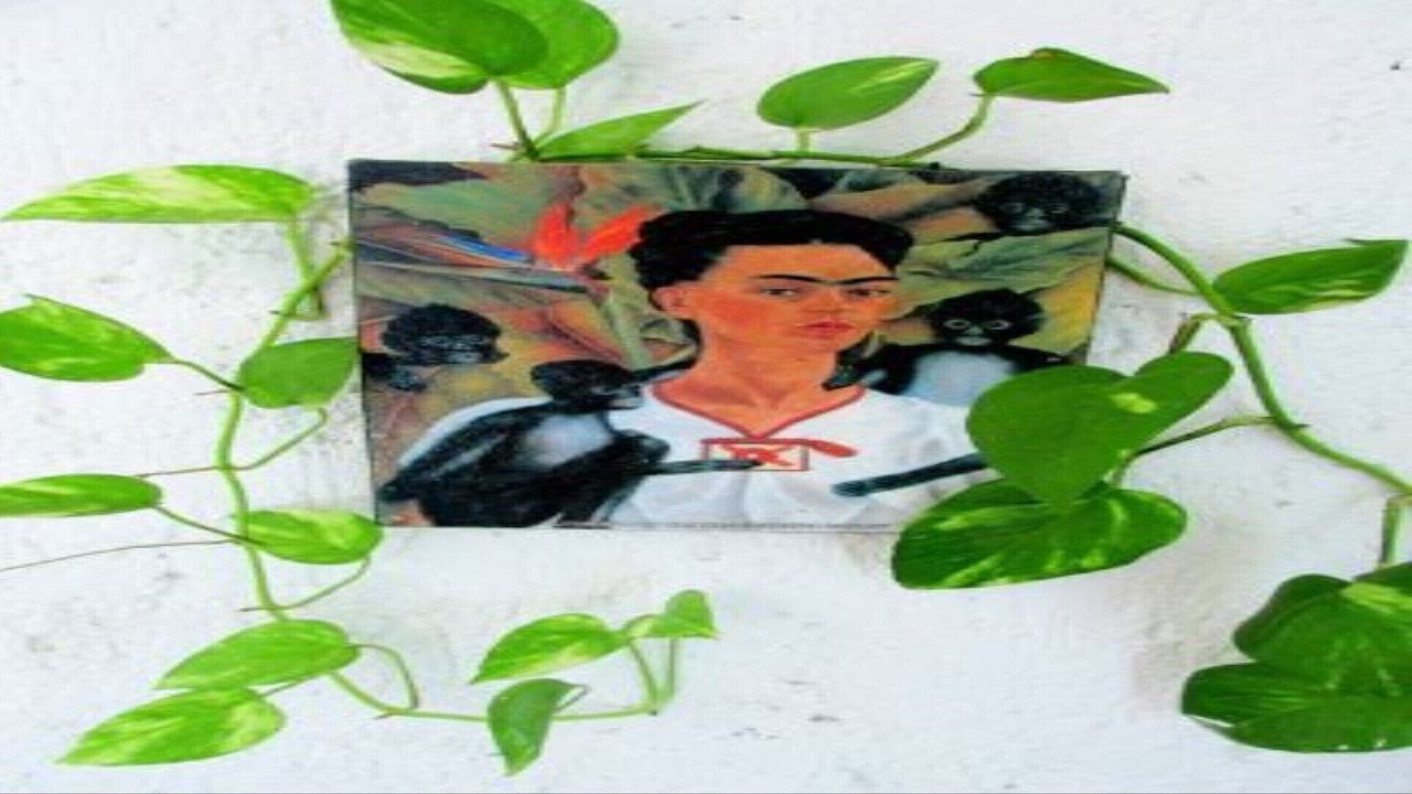 Photo of Others in Campestre