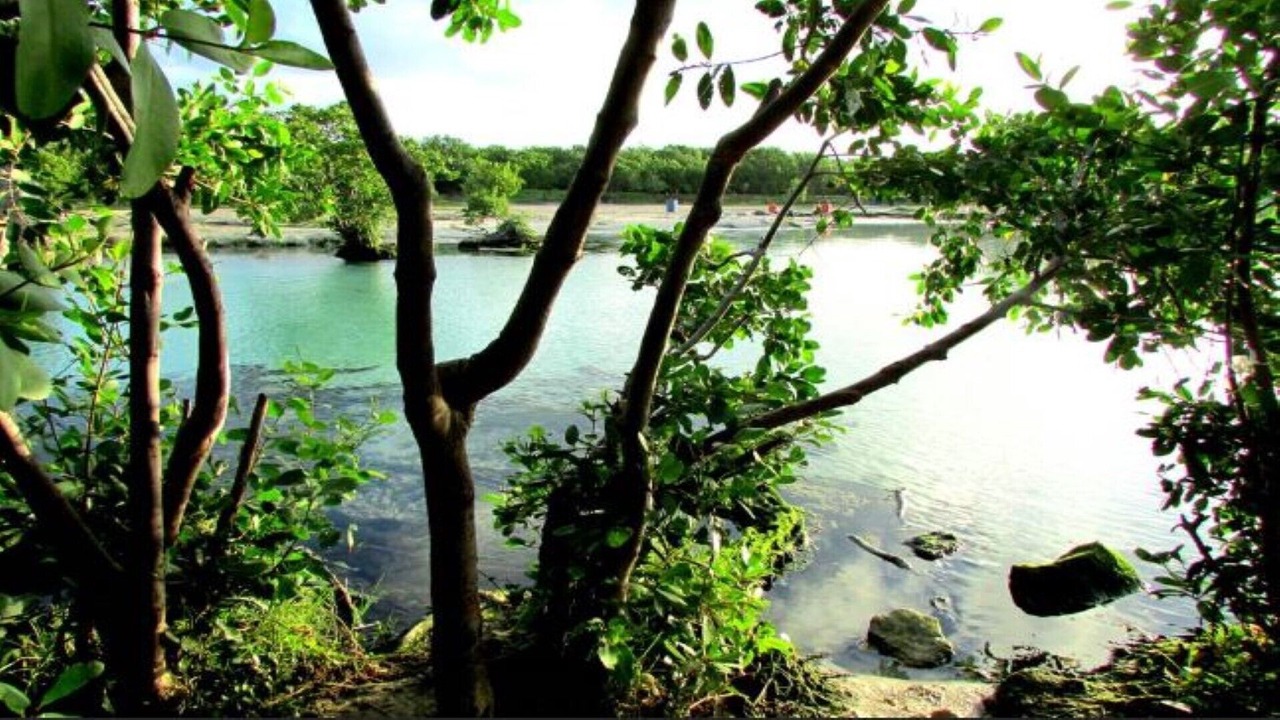 Photo of Outdoor in Campestre