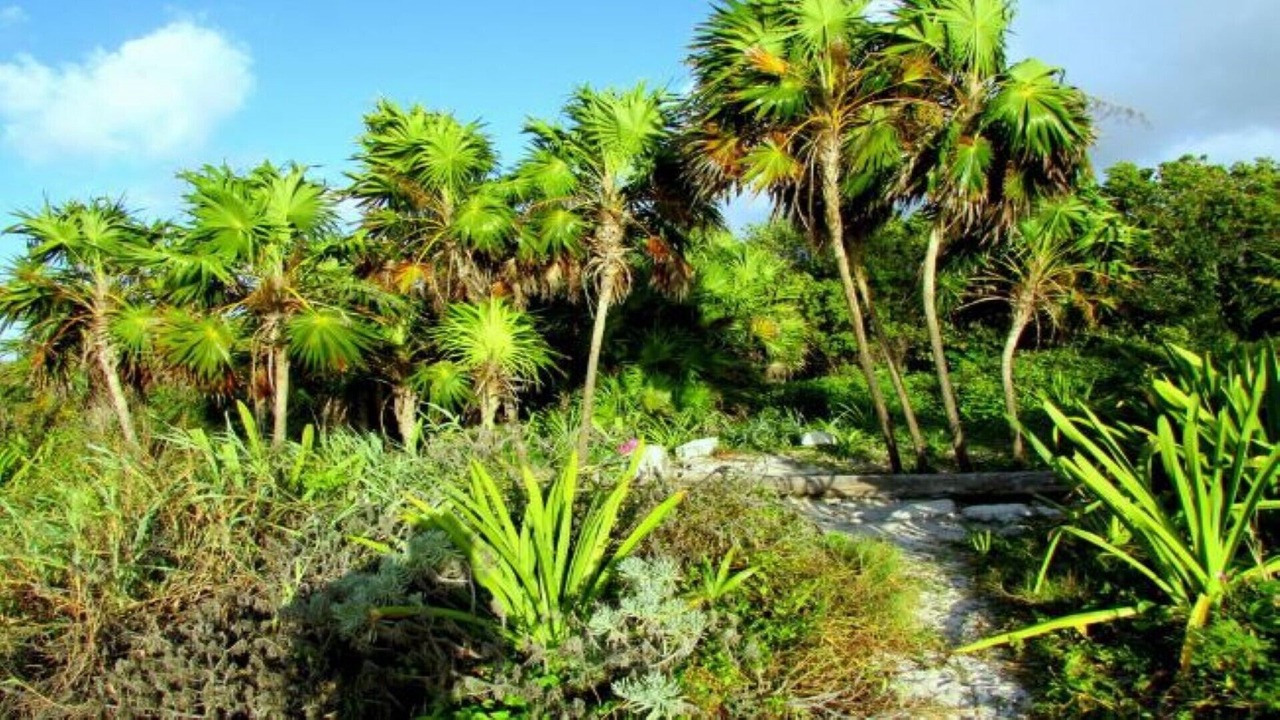 Photo of Outdoor in Campestre