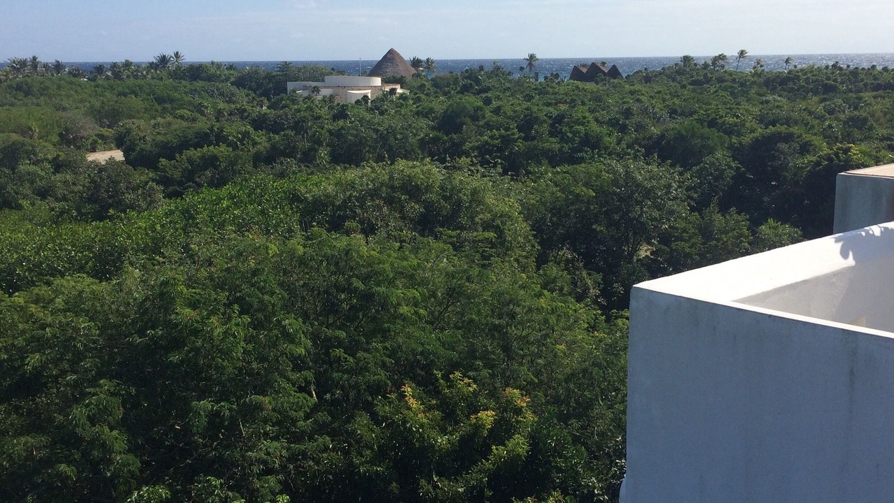 Photo of Others in Akumal