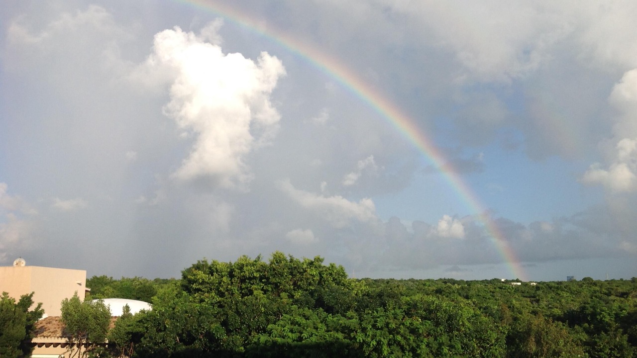 Photo of Others in Akumal