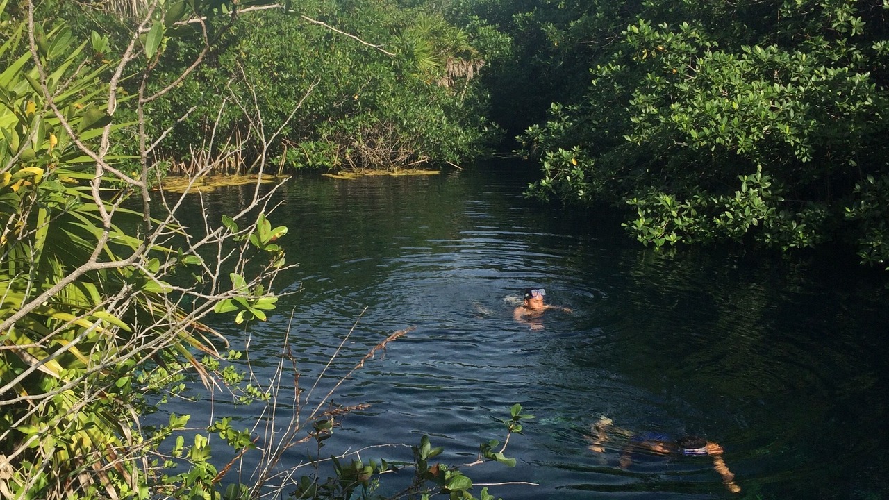 Photo of Others in Akumal