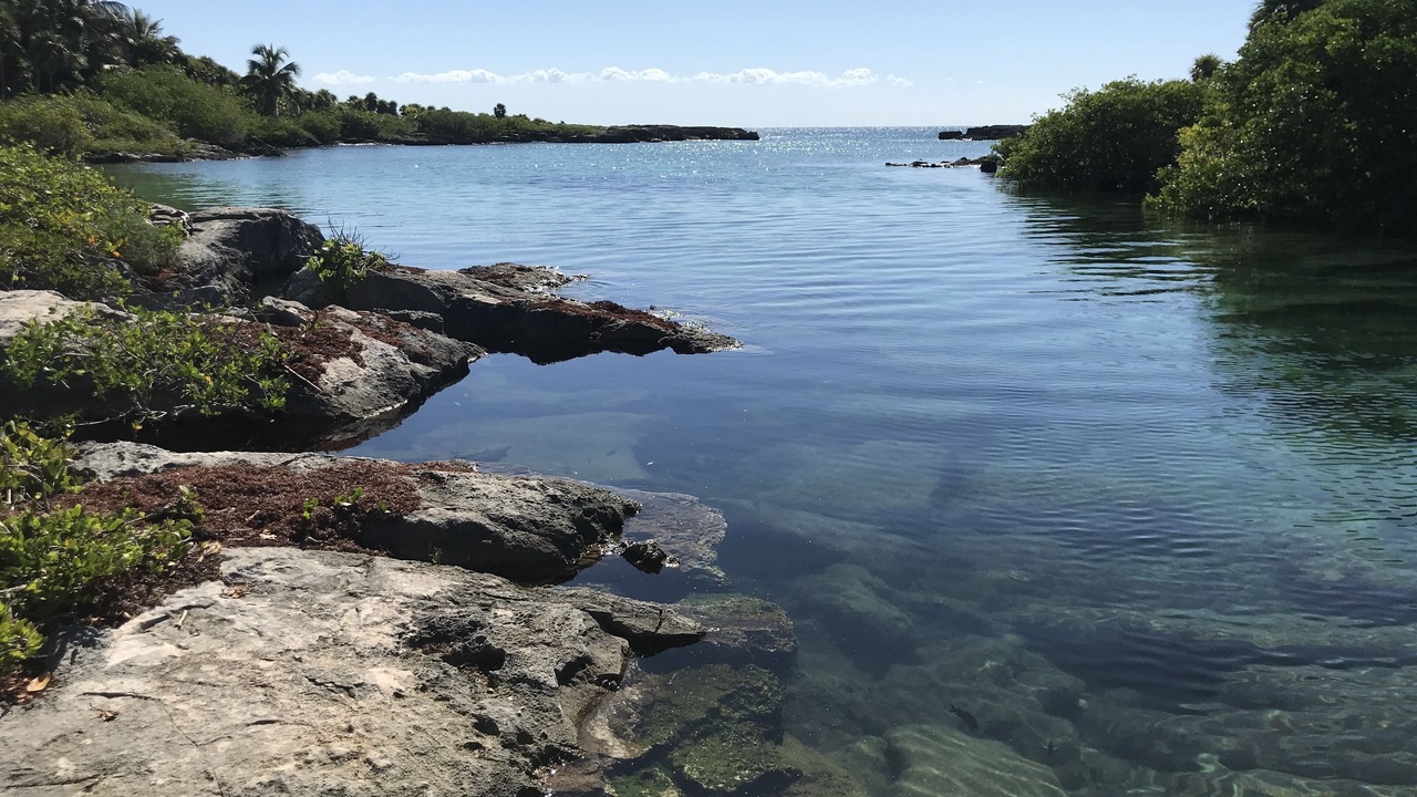 Photo of Others in Akumal