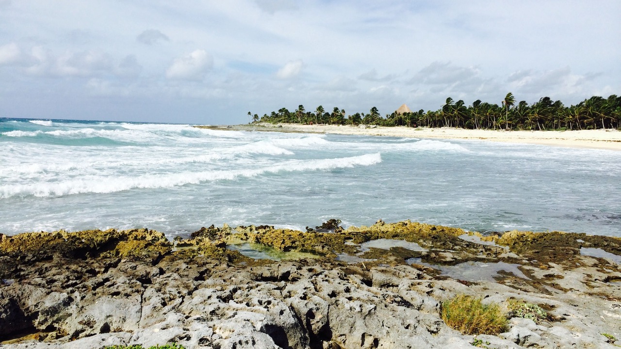 Photo of Others in Akumal