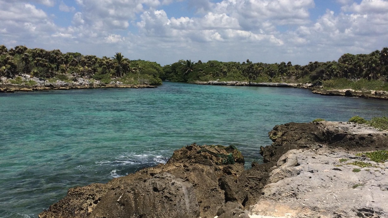 Photo of Others in Akumal