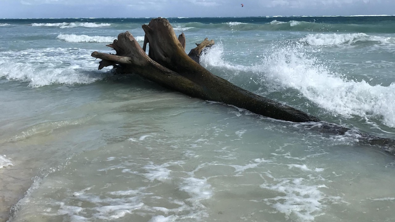 Photo of Others in Akumal