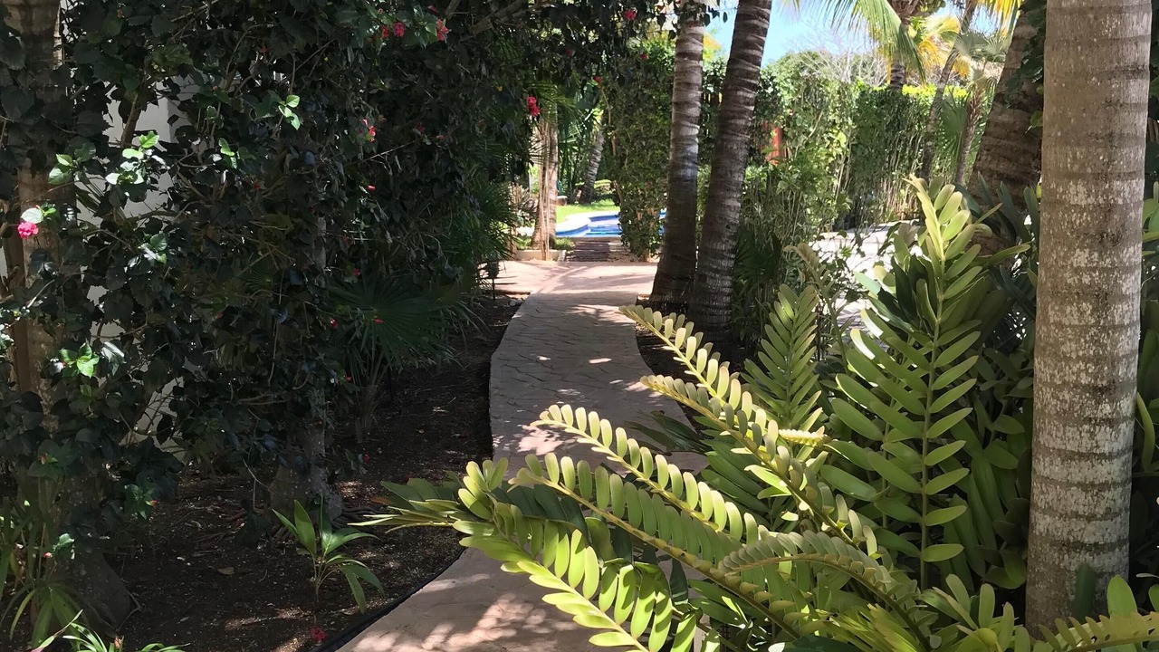 Photo of Outdoor in Akumal