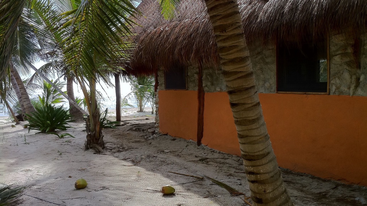 Photo of Outdoor in Mahahual