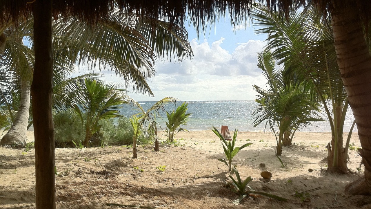 Photo of Others in Mahahual