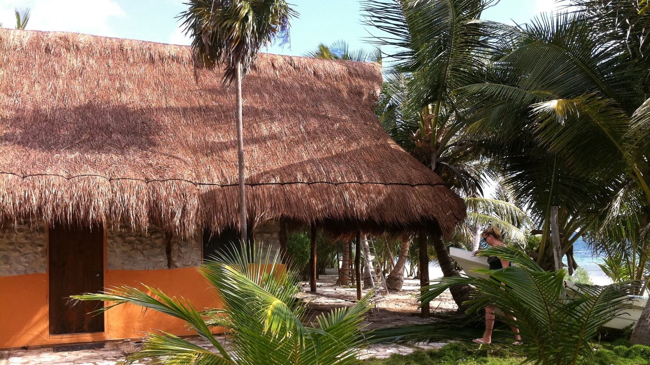 Photo of Outdoor in Mahahual