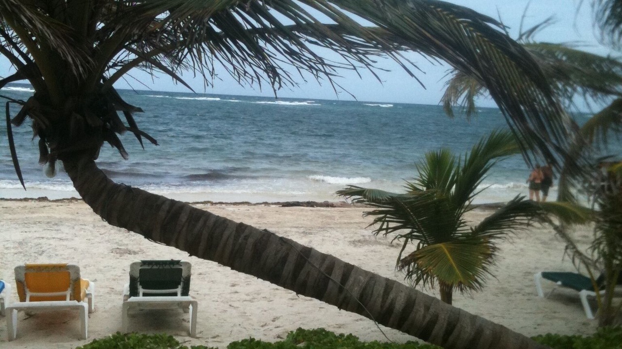 Photo of Others in Mahahual