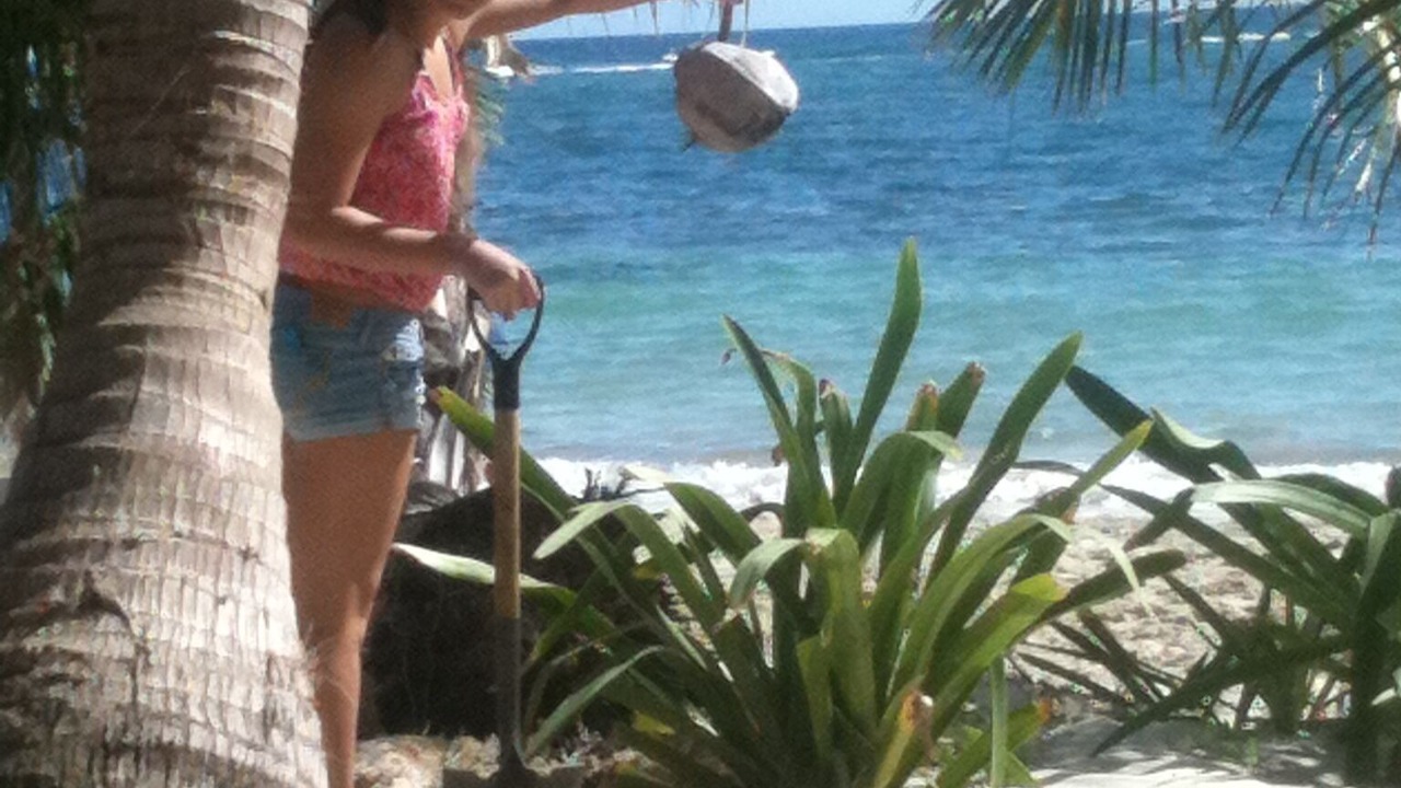 Photo of Others in Mahahual