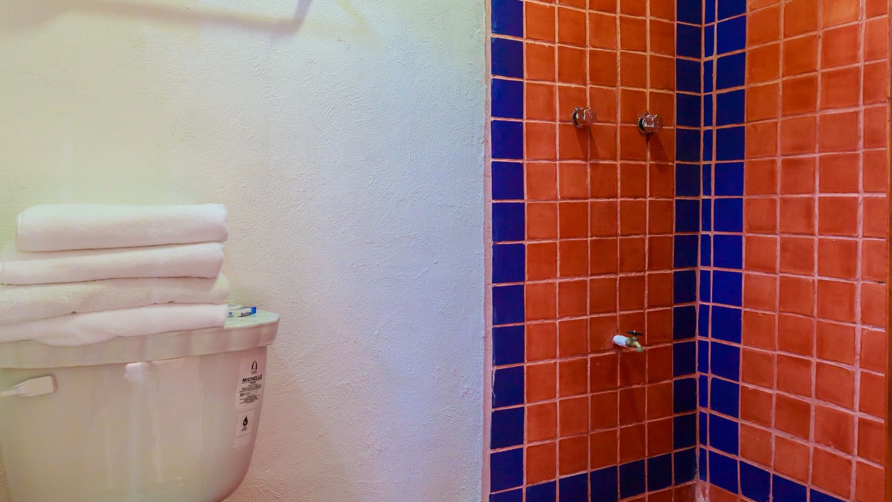 Photo of Bathroom in Colonia Salina Chica