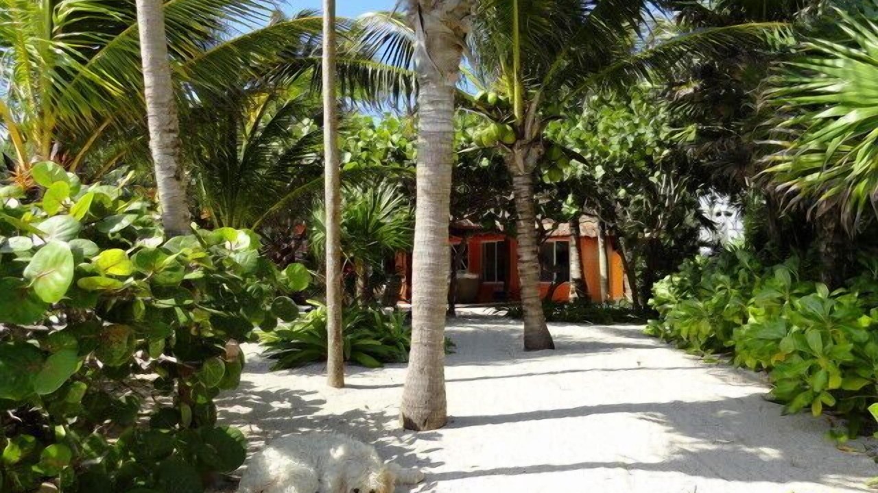 Photo of Outdoor in Akumal