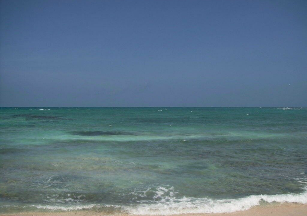 Photo of Others in Akumal