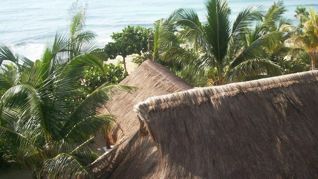 Photo of Others in Akumal