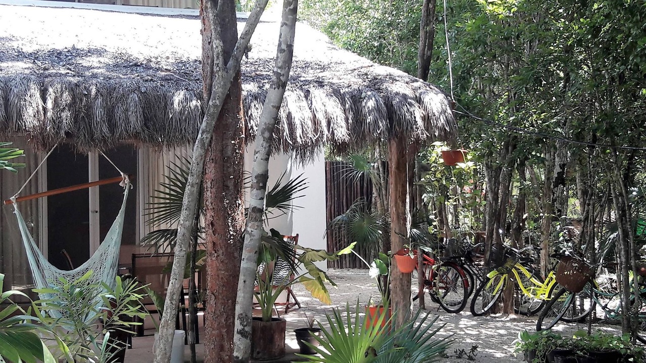Photo of Outdoor in Chemuyil