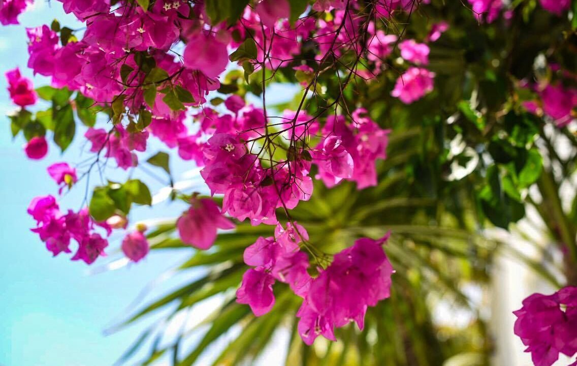 Photo of Outdoor in Puerto Morelos