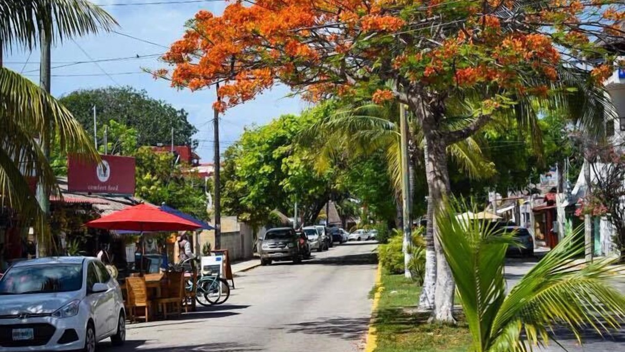 Photo of Outdoor in Puerto Morelos